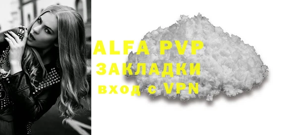 молекула духа Ельня