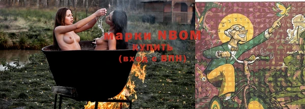 молекула духа Ельня