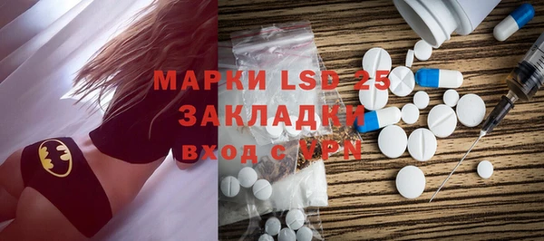 молекула духа Ельня
