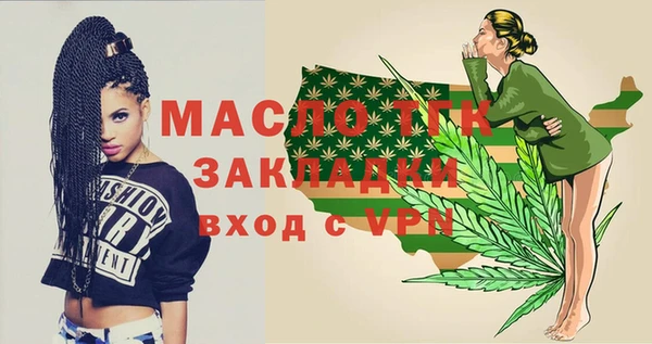 молекула духа Ельня