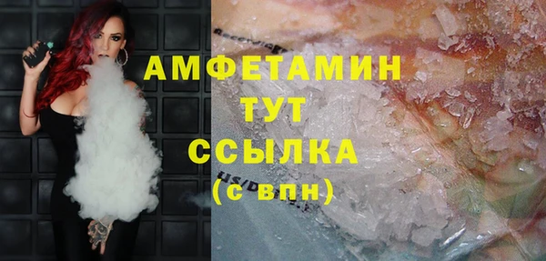 молекула духа Ельня