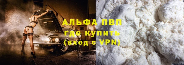молекула духа Ельня