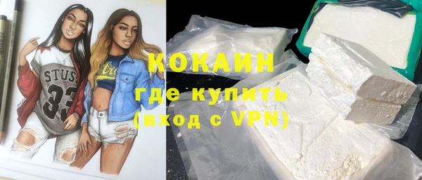 молекула духа Ельня