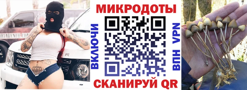Галлюциногенные грибы Psilocybe  наркота  Красавино 